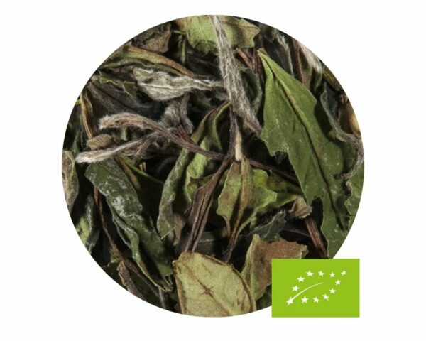 Té blanco Pai Mu Tan Ecológico