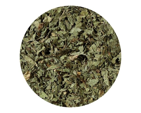 Menta Poleo