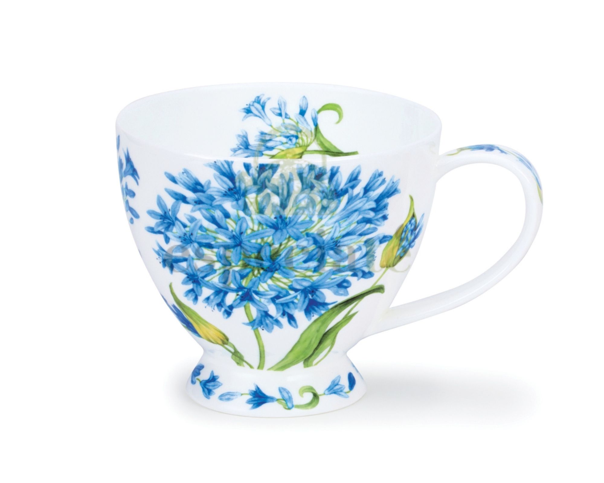 Taza Agapanthus