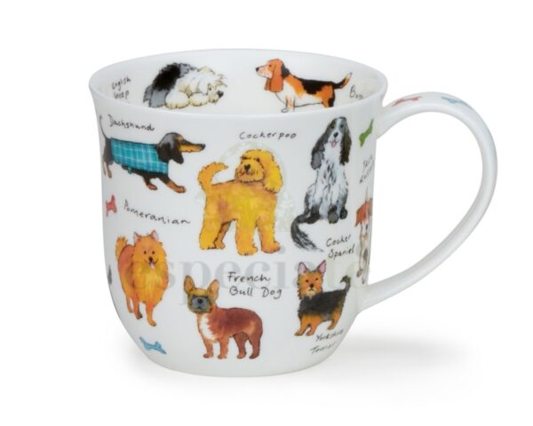 Taza Dog Breeds
