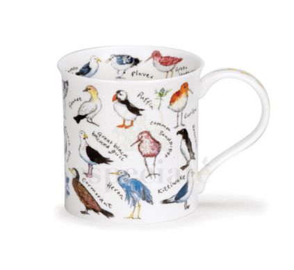 Taza Coastal Birds