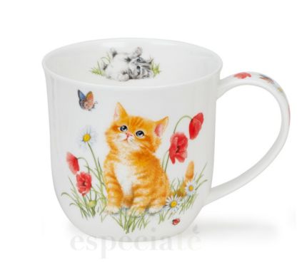 Taza Kittens