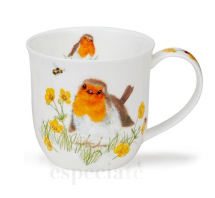 Taza Robins