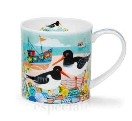 Taza Shore Birds Oyster Catc